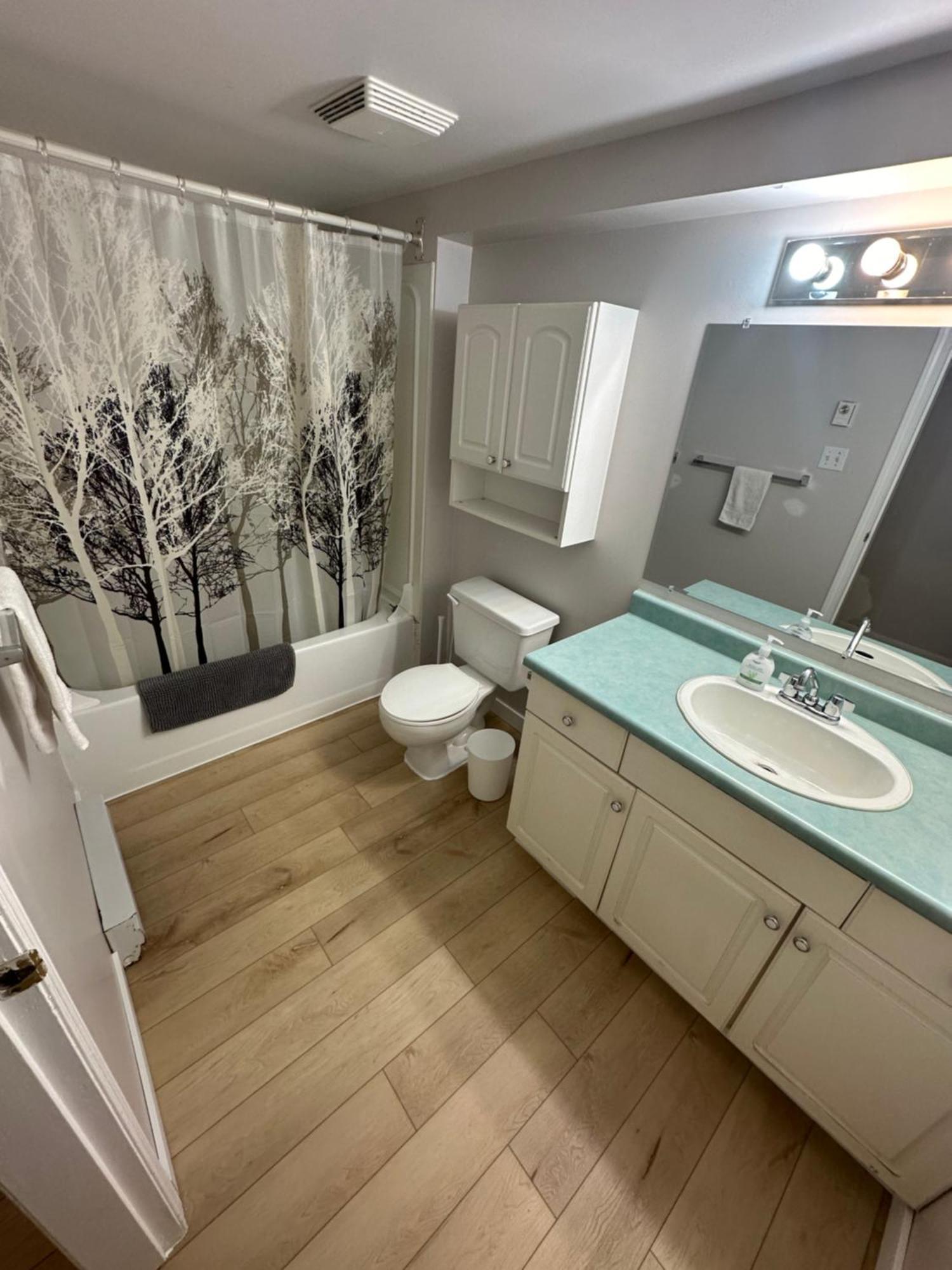 Artistic Apartment Near Downtown 빅토리아 외부 사진