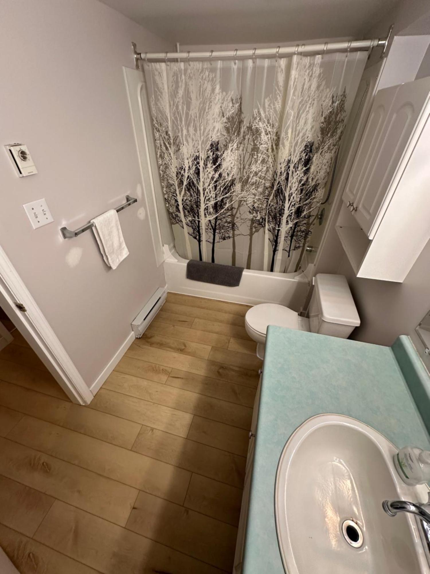 Artistic Apartment Near Downtown 빅토리아 외부 사진